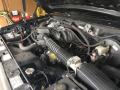  1995 Bronco 5.0 Liter OHV 16-Valve V8 Engine #4