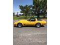 1981 Corvette Coupe #15