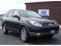 2009 Veracruz Limited #1