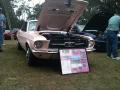 1967 Mustang Sports Sprint Package Coupe #2