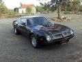1975 Pontiac Firebird Trans Am Black