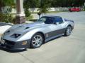 1981 Corvette Coupe #1