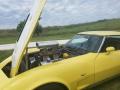 1978 Corvette Coupe #5
