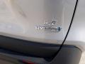 2020 RAV4 LE AWD Hybrid #36 2020 RAV4 LE AWD Hybrid #36