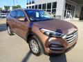 2017 Tucson SE AWD #9 2017 Tucson SE AWD #9