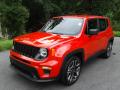 2020 Renegade Sport #2