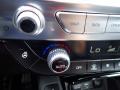 Controls of 2021 Kia Telluride SX AWD #20