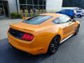 2019 Mustang GT Premium Fastback #2