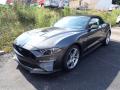 2020 Mustang GT Premium Convertible #2