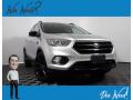 2017 Escape SE #1 2017 Escape SE #1