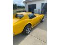 1969 Corvette Coupe #6