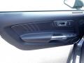 Door Panel of 2020 Ford Mustang EcoBoost Premium Fastback #12