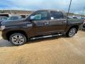 2020 Tundra Platinum CrewMax 4x4 #1