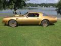  1978 Pontiac Firebird Solar Gold #5