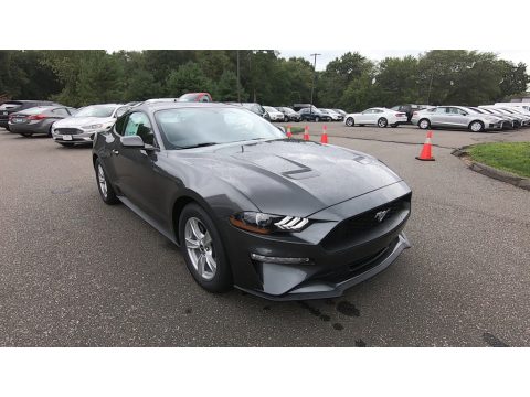 Magnetic Ford Mustang EcoBoost Fastback.  Click to enlarge.