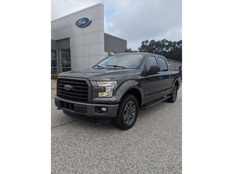 Magnetic Metallic Ford F150 XLT SuperCrew 4x4.  Click to enlarge.