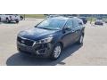 2016 Sorento EX V6 #3