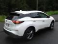 2019 Murano Platinum #7 2019 Murano Platinum #7