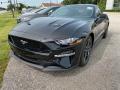 2020 Ford Mustang GT Fastback Shadow Black