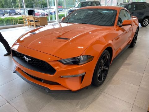 Twister Orange Ford Mustang EcoBoost Fastback.  Click to enlarge.
