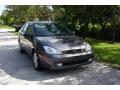 2002 Focus ZTS Sedan #20