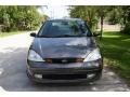 2002 Focus ZTS Sedan #21