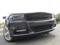 2016 Charger R/T #2