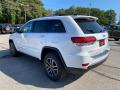 2020 Grand Cherokee Limited 4x4 #9