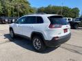 2020 Cherokee Latitude Plus 4x4 #9