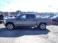  2020 Ford F150 Abyss Gray #6
