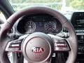  2021 Kia Forte GT-Line Steering Wheel #20