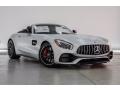 Front 3/4 View of 2018 Mercedes-Benz AMG GT C Roadster #13