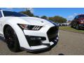 2020 Mustang Shelby GT500 #30