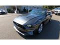 2020 Mustang GT Premium Convertible #3