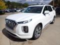 2021 Palisade Limited AWD #5 2021 Palisade Limited AWD #5