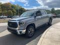 2021 Tundra TRD Off Road CrewMax 4x4 #28 2021 Tundra TRD Off Road CrewMax 4x4 #28