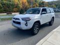 Front 3/4 View of 2020 Toyota 4Runner TRD Off-Road Premium 4x4 #32