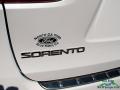 2016 Sorento Limited AWD #30
