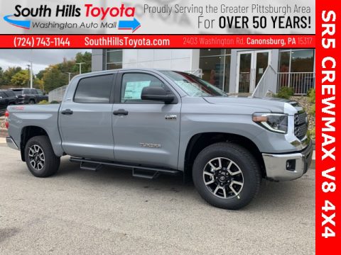 Cement Toyota Tundra TRD Off Road CrewMax 4x4.  Click to enlarge.