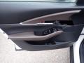 Door Panel of 2021 Mazda CX-30 Premium AWD #10