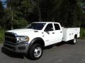 2020 5500 Tradesman Crew Cab 4x4 Chassis #2