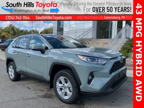 Lunar Rock Toyota RAV4 XLE AWD Hybrid. Click to enlarge. Lunar Rock Toyota RAV4 XLE AWD Hybrid. Click to enlarge.