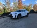 Front 3/4 View of 2020 Lexus UX 250h F Sport AWD #1