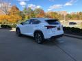 2021 NX 300 F Sport AWD #4