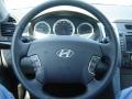 2009 Sonata Limited V6 #15