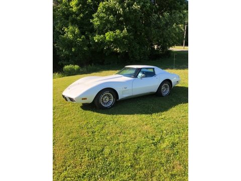 Classic White Chevrolet Corvette Coupe.  Click to enlarge.