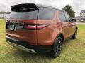 2020 Discovery Landmark Edition #3
