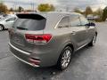 2016 Sorento SX V6 #6