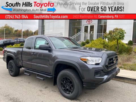 Magnetic Gray Metallic Toyota Tacoma SX Access Cab 4x4.  Click to enlarge.