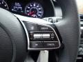  2021 Kia Forte LXS Steering Wheel #17